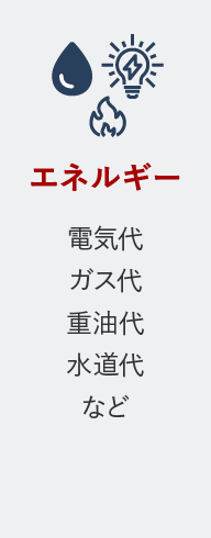エネルギー 電気代、ガス代、重油費、水道代など
